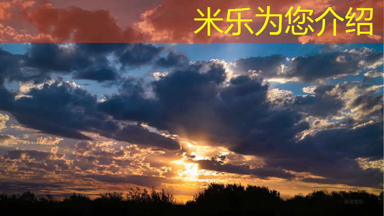 米乐：怎么把胸垫缝在体操服