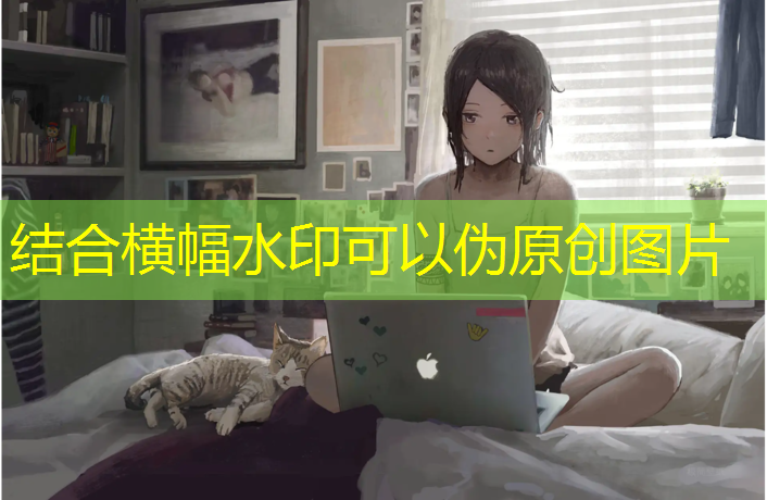 室内健身器械怎么样使用